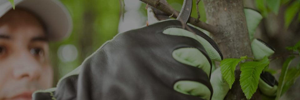 We help bring your ideas to life
		within budget and time-frame