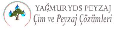 Peyzaj Çözümleri | Peyzaj, Marangozluk, Çim Kurulumu & Onarım, Çim Biçme & Bahçe Bakım Uzmanları